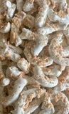 Petite Treats - White Chocolate Covered Pretzels Cinnamon Crunch